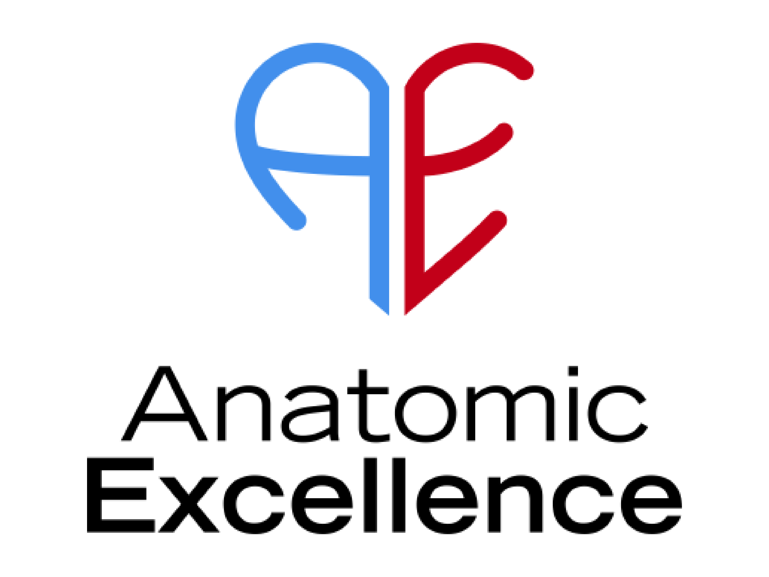 AE: Anatomic Excellence